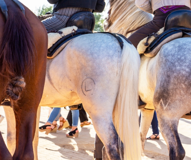 Foire de Cordoue | Espagne